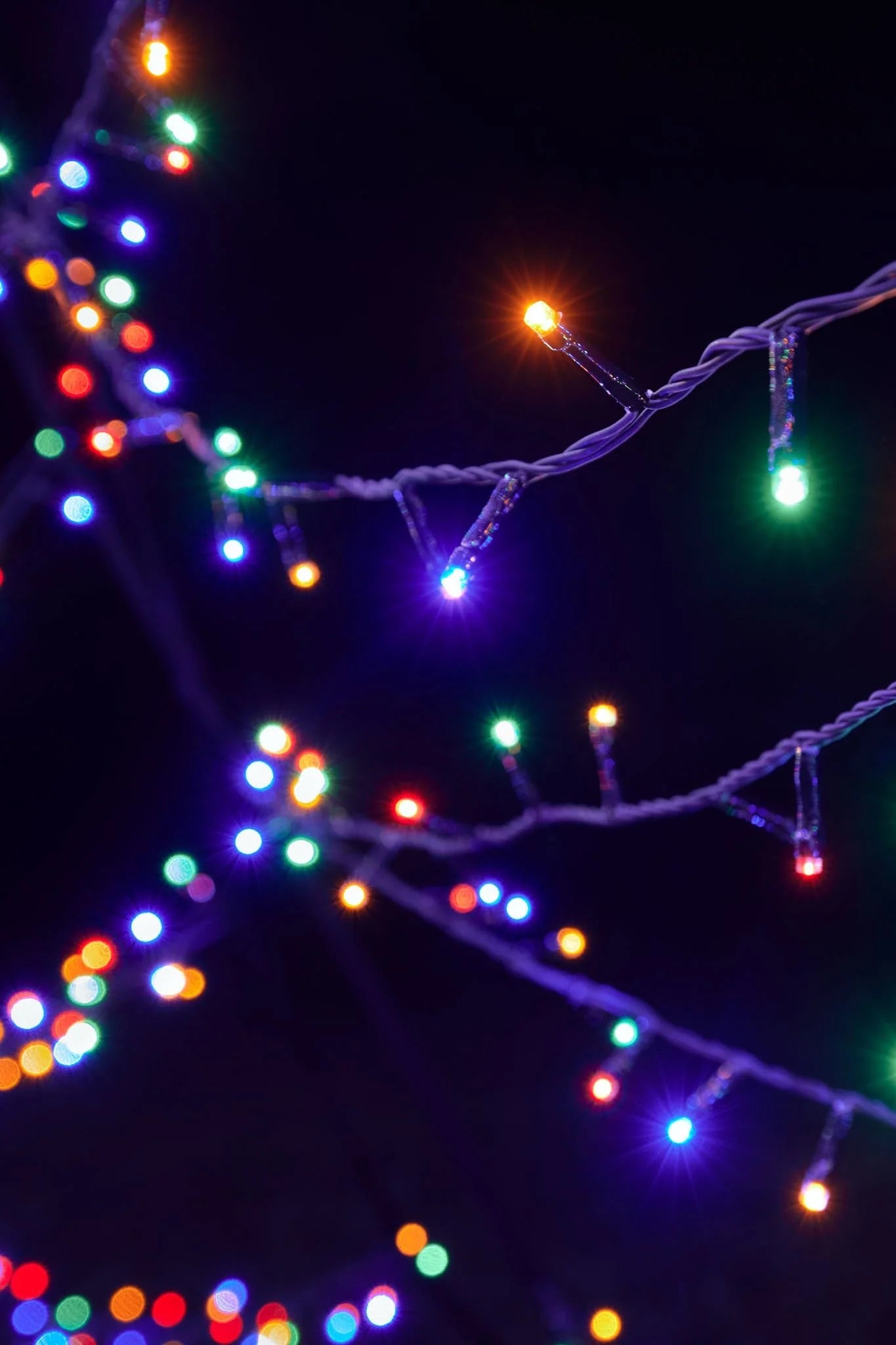 Fairybell | 6 meter | 1200 LED-lampjes | Multi Colour